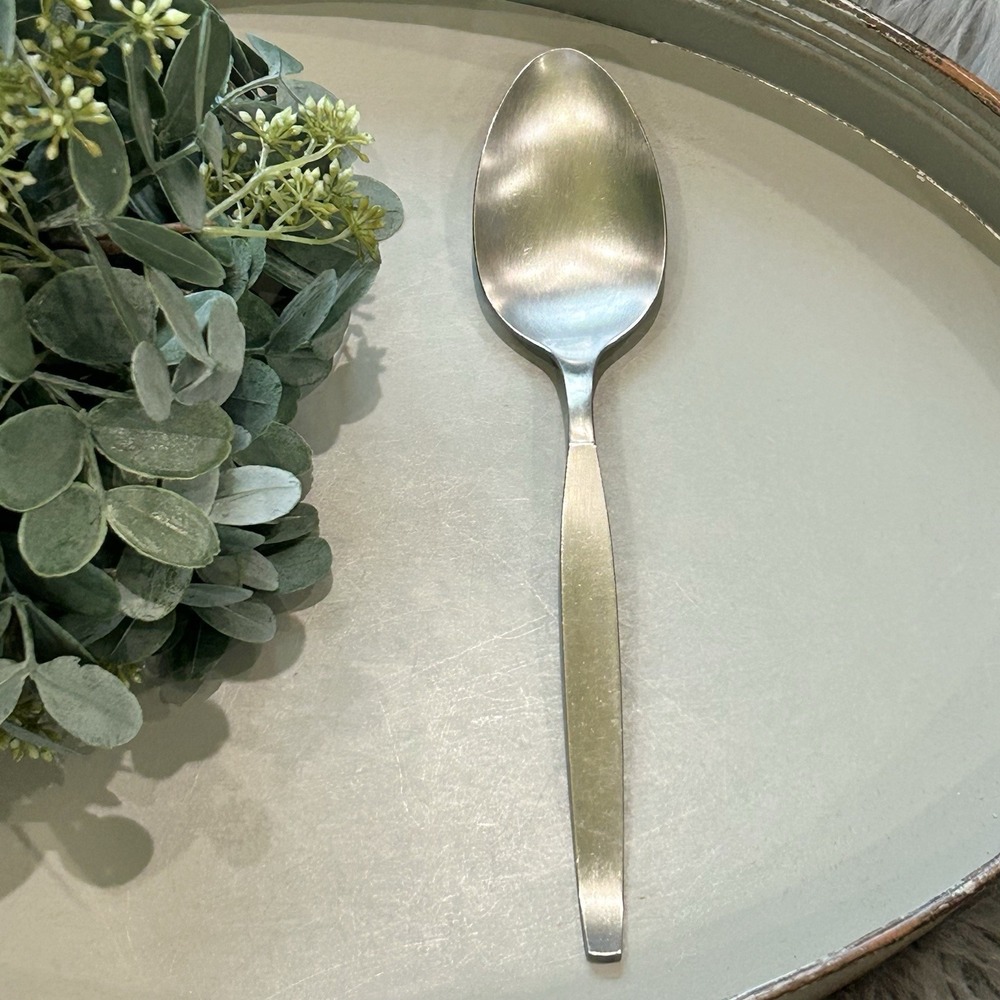 Oneida Community Frostfire Solid Serving Spoon Flatware‎ Piece
